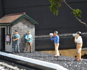 Cafyns Halt Small